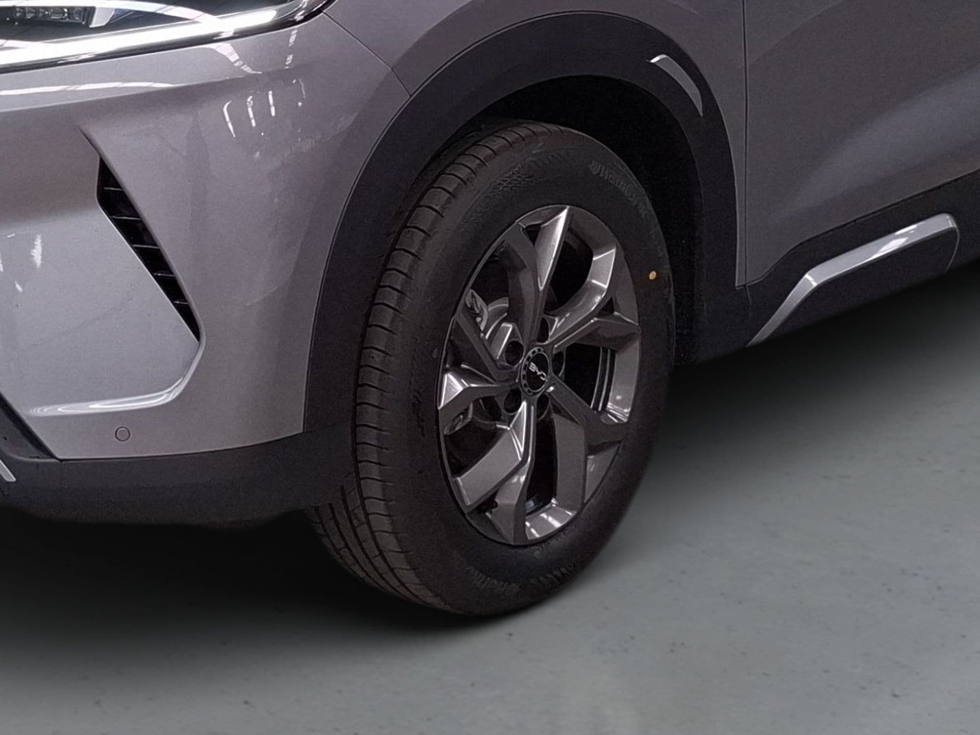 BYD ATTO 2 - 4
