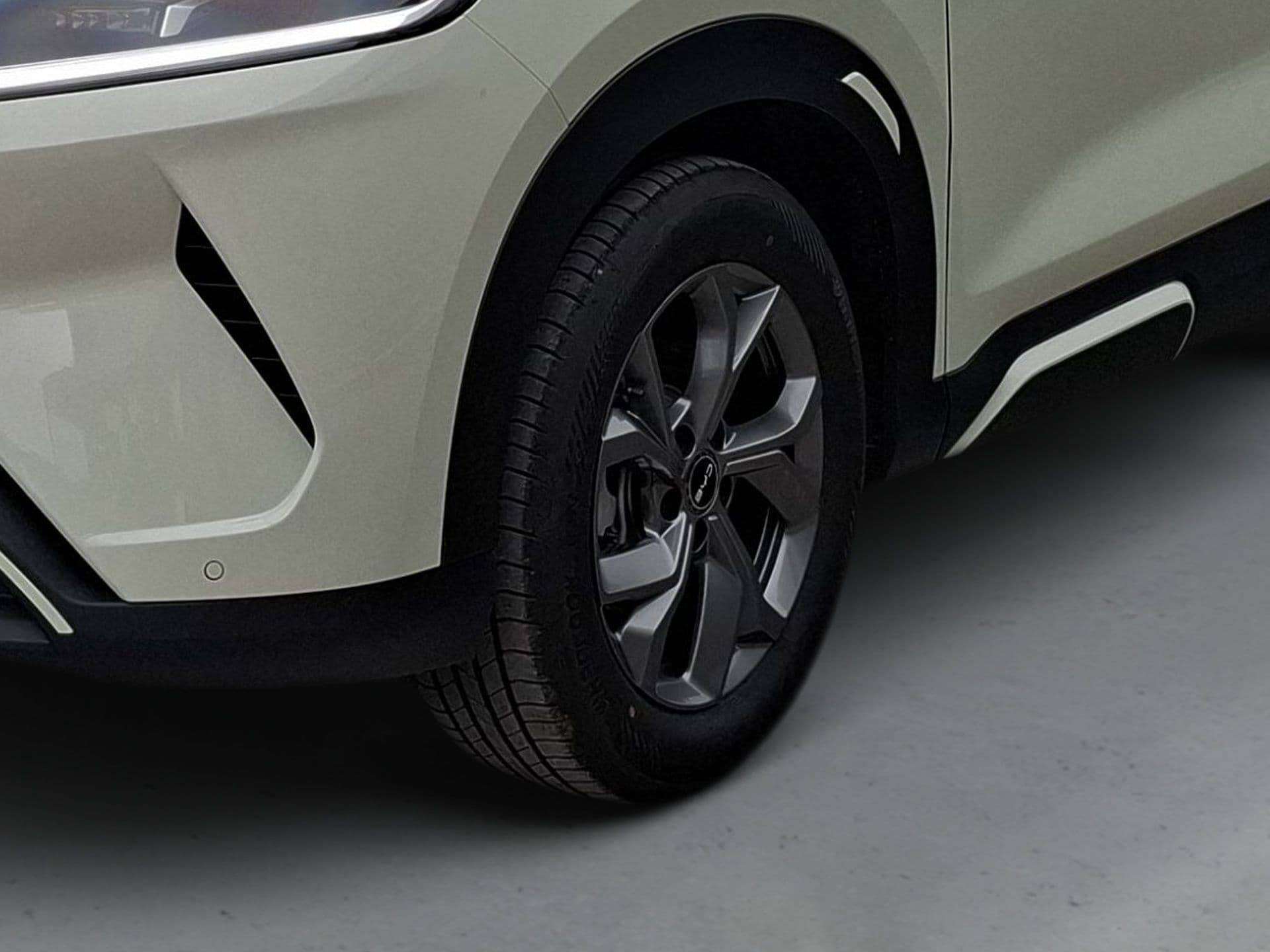 BYD ATTO 2 - 4