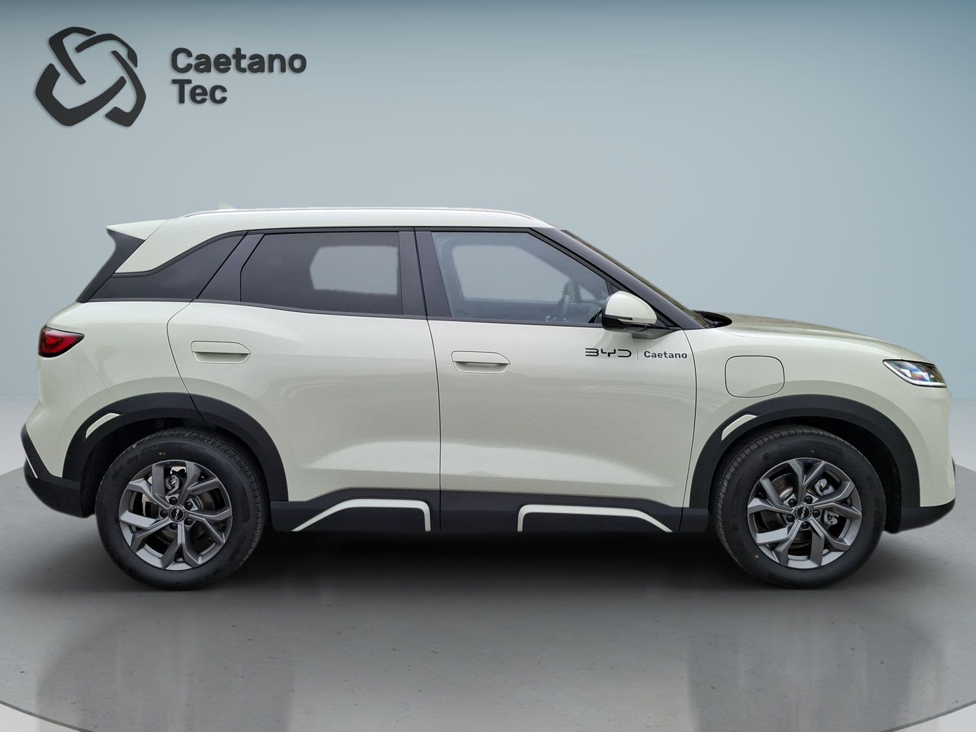 BYD ATTO 2 - 9