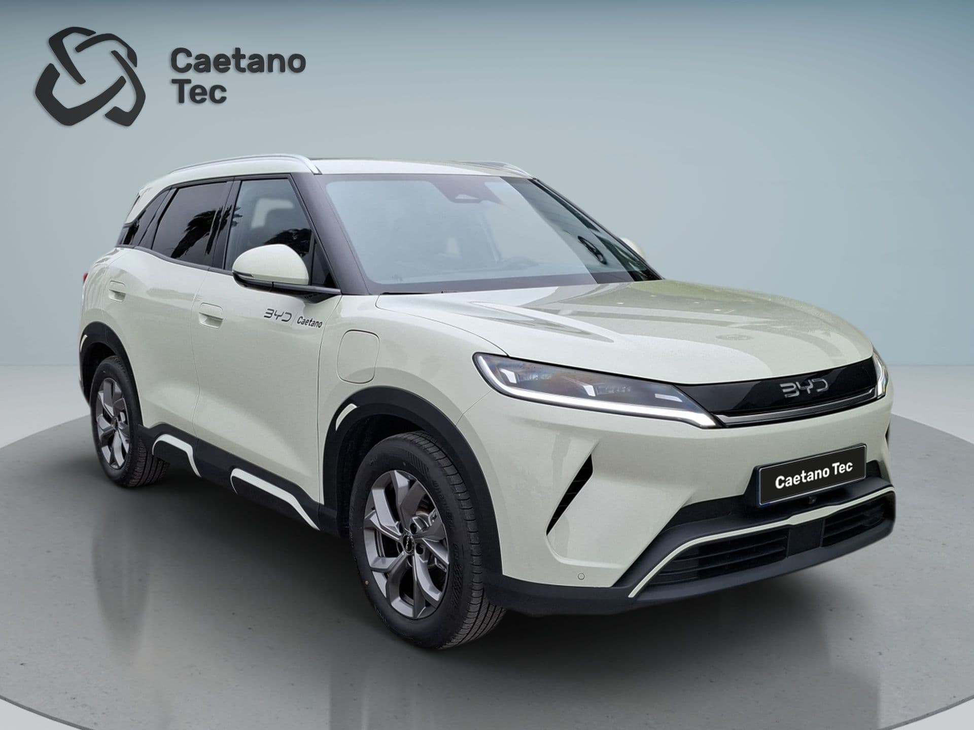 BYD ATTO 2 - 10