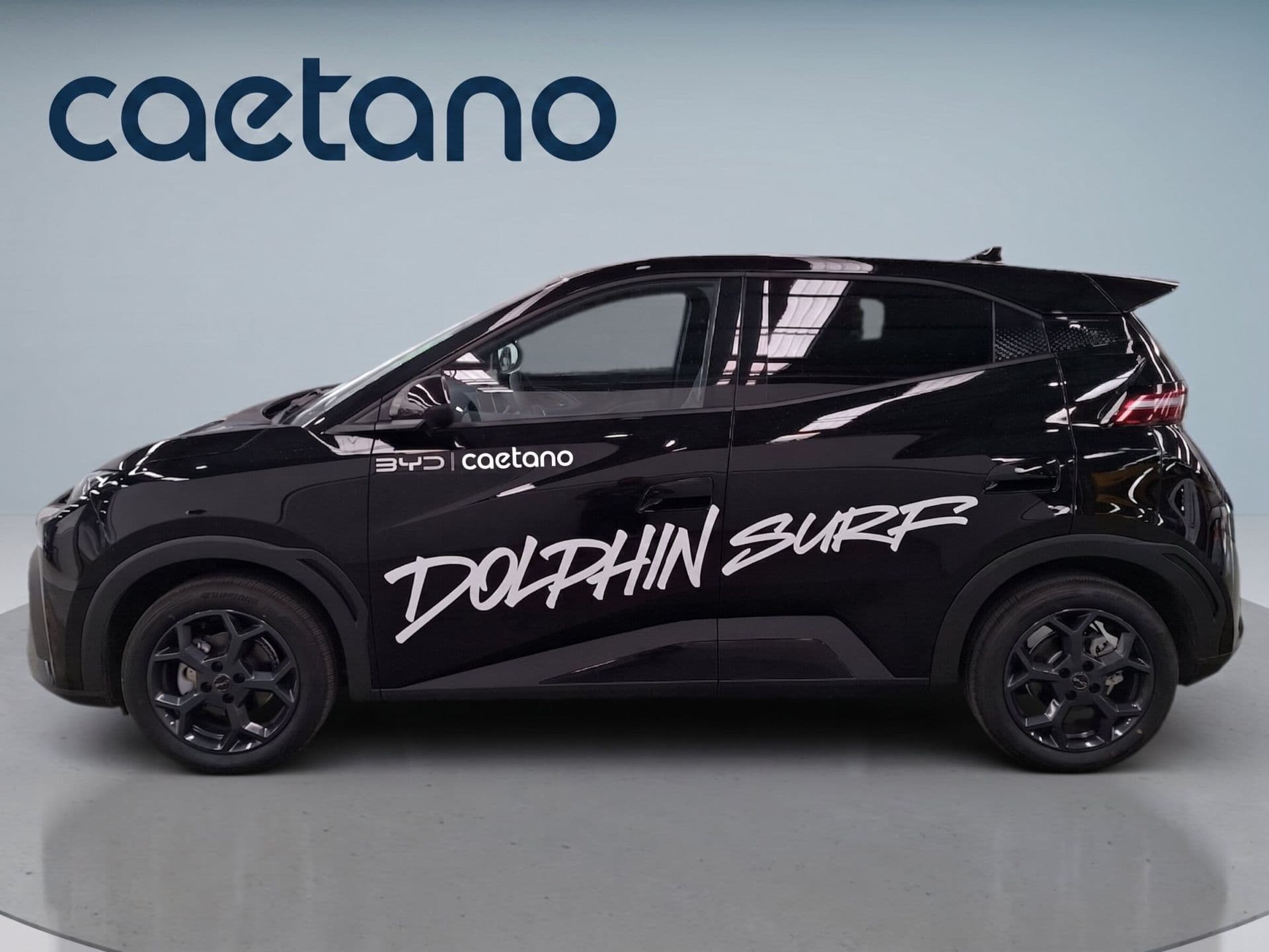 BYD DOLPHIN SURF