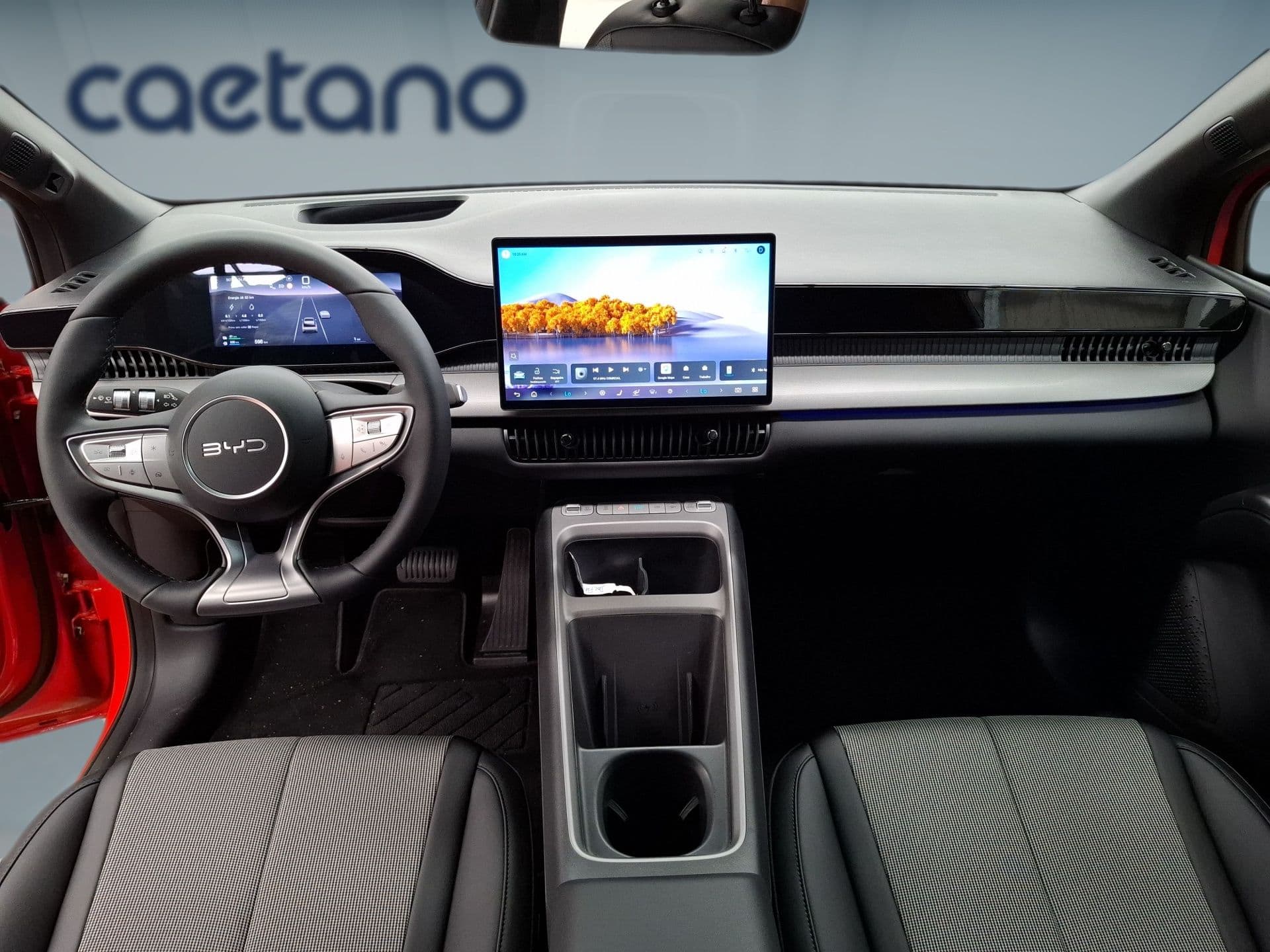 BYD DOLPHIN G - 10