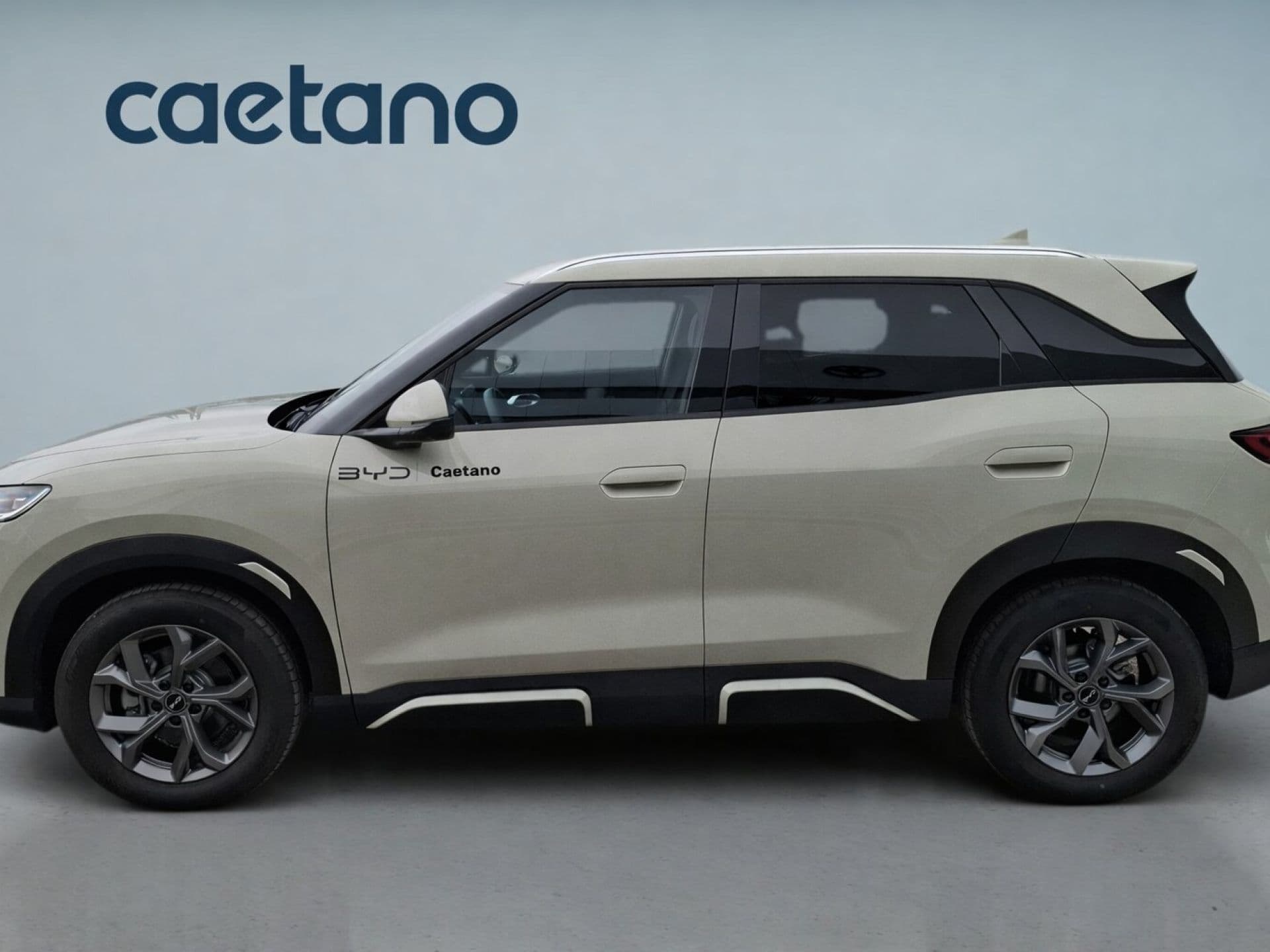 BYD Atto 2 - 4
