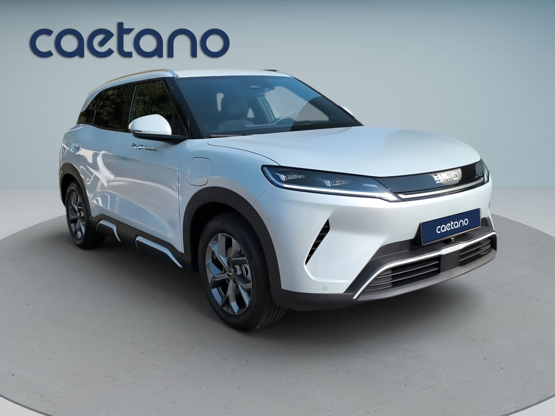 BYD ATTO 2 - 9