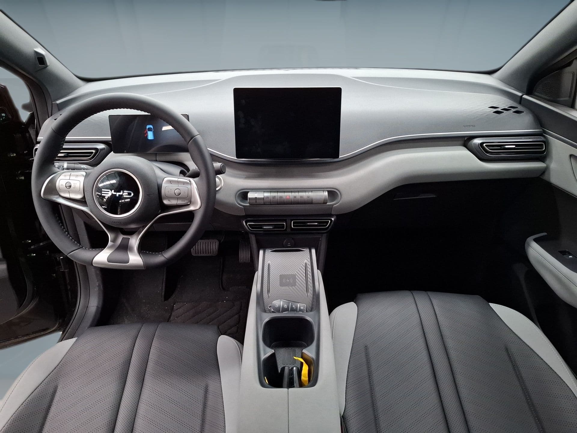 BYD DOLPHIN - 11