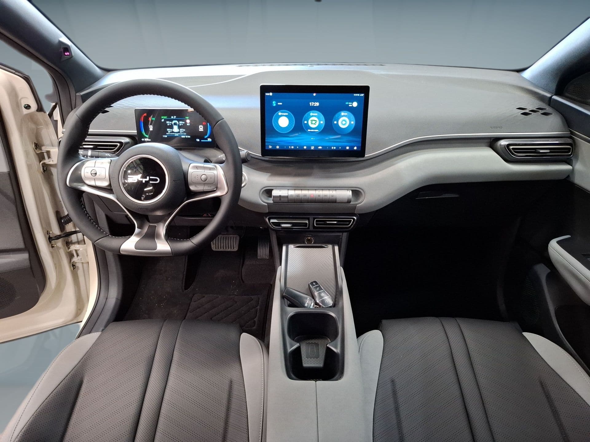 BYD DOLPHIN SURF - 11