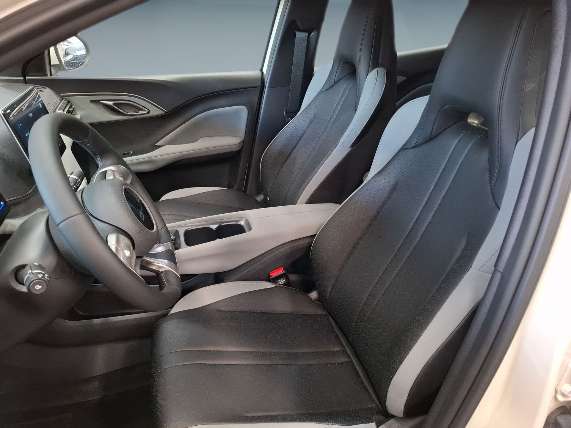 BYD DOLPHIN SURF - 12