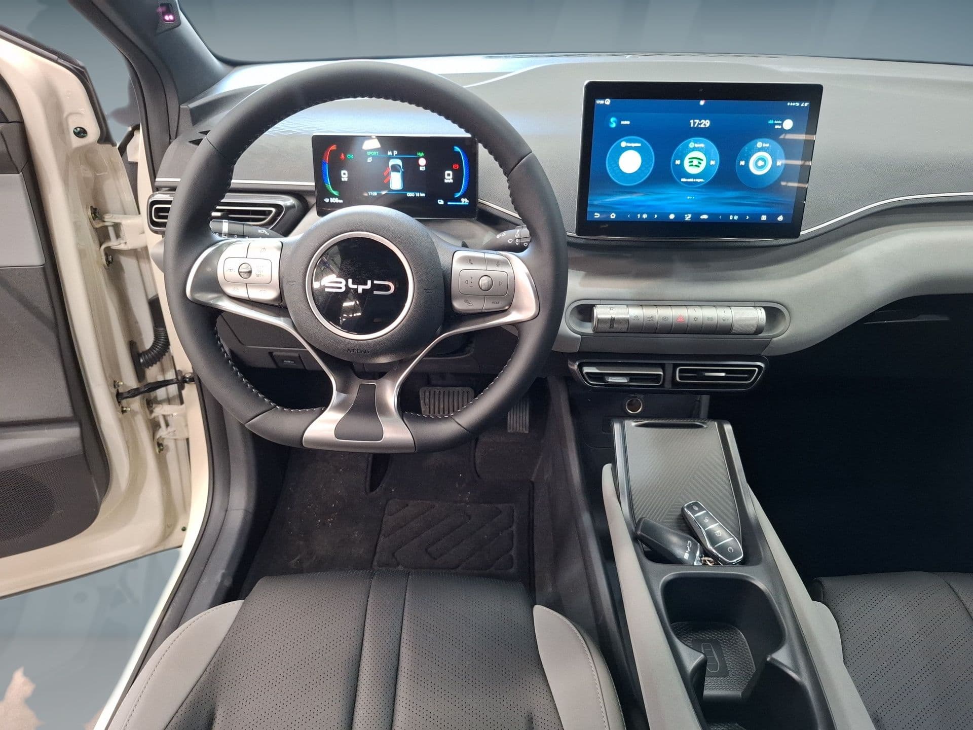 BYD DOLPHIN SURF - 10