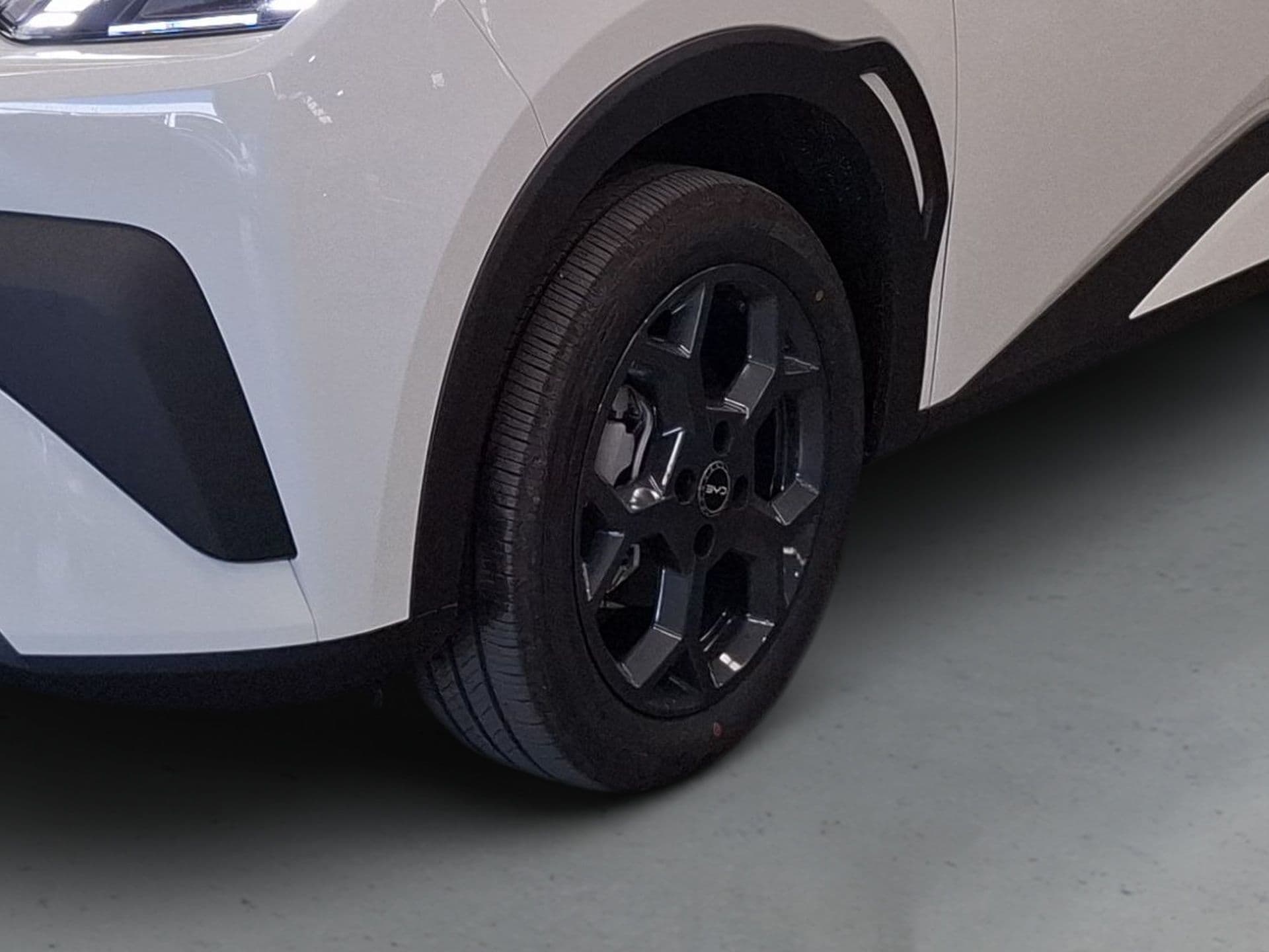 BYD DOLPHIN SURF - 2