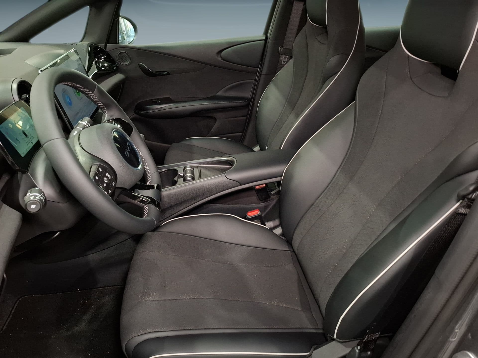 BYD DOLPHIN - 10