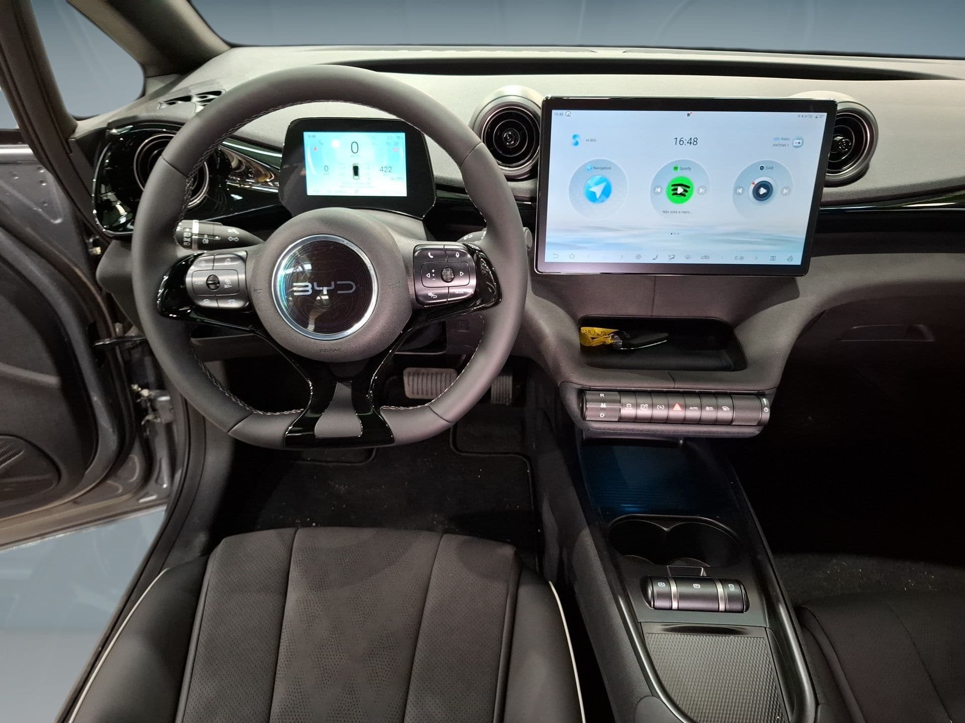 BYD DOLPHIN - 12