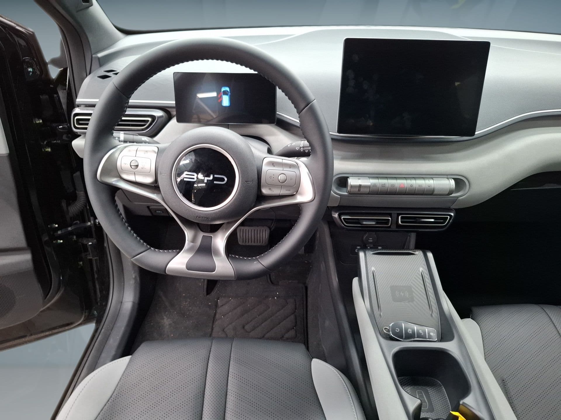 BYD DOLPHIN SURF - 12