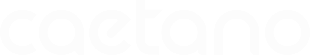Grupo Salvador Caetano